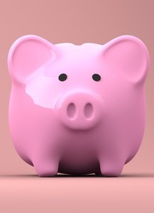 piggy-bank-2889042_1920